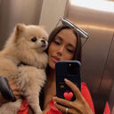 ���������� ������, ���� ������� ������, 26 ���, ������������ ��� ������, ����� � ���������, c�������� ���������