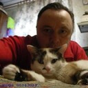  ,   , 49 ,     , c , 