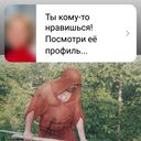  ,   , 51 ,     , c 