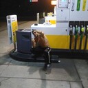 ���������� ���������, ���� ������� Michail, 37 ���, ������������ ��� ������, ����� � ���������, c�������� ���������