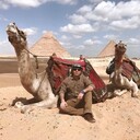 ���������� ������, ���� ������� Ibrahim, 36 ���, ������������ ��� ����� � ���������, c�������� ���������