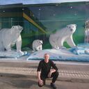 ���������� �����-���������, ���� ������� �������, 50 ���, ������������ ��� ����� � ���������, c�������� ���������