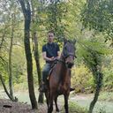 ���������� ���������, ���� ������� ������, 26 ���, ������������ ��� ����� � ���������, c�������� ���������