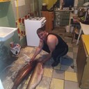 ���������� ������, ���� ������� �����, 44 ����, ������������ ��� ������, ����� � ���������