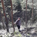  ,   , 31 ,   ,   , c 