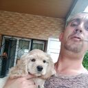  ,    , 35 ,   ,   