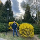 ���������� ���������, ���� ������� �����, 32 ����, ������������ ��� ����� � ���������, c�������� ���������