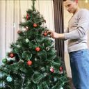 ���������� �����-���������, ���� ������� ���, 30 ���, ������������ ��� ������, ����� � ���������