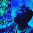 ���������� �����, ���� ����� ����, 24 ����, ������������ ��� ������, ����� � ���������