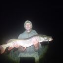  ,   , 38 ,   ,   , c , 