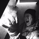 ���������� �����, ���� ������� �������, 44 ����, ������������ ��� ������, ����� � ���������, c�������� ���������