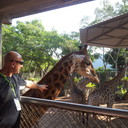  ,   Leon, 59 ,   ,   , c , 