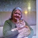 ���������� ������������, ���� ������� �������, 69 ���, ������������ ��� c�������� ���������