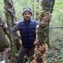  ,   , 43 ,   ,   
