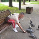  ,   , 56 ,   ,   