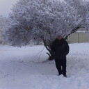 ���������� ���, ���� ������� �������, 43 ����, ������������ ��� ������, ����� � ���������, c�������� ���������