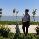 ���������� ���������, ���� ������� �����, 62 ����, ������������ ��� ������, ����� � ���������, c�������� ���������