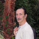  ,   Grey Angel, 65 ,     , c 