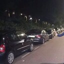 ���������� �������, ���� ������� Petrea, 36 ���, ������������ ��� ������, ����� � ���������