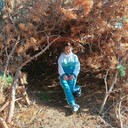 ���������� ����������, ���� ������� �����, 24 ����, ������������ ��� ���������