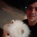 ���������� �������, ���� ������� ������, 33 ����, ������������ ��� ���������