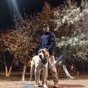 ���������� ��������, ���� ������� ������, 26 ���, ������������ ��� ������, ����� � ���������, c�������� ���������