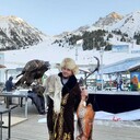 ���������� ������, ���� ������� ����, 42 ����, ������������ ��� ������, ����� � ���������