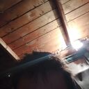 ���������� ����-���, ���� ����� ����, 24 ����, ������������ ��� ����� � ���������, c�������� ���������, ���������