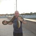 ���������� ��������, ���� ������� �������, 45 ���, ������������ ��� ������, ����� � ���������