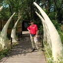 ���������� ������������, ���� ������� ���������, 44 ����, ������������ ��� c�������� ���������