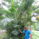 ���������� �������, ���� ������� ���������, 45 ���, ������������ ��� ������, ����� � ���������, c�������� ���������