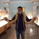 ���������� ������, ���� ������� ���������, 44 ����, ������������ ��� ����� � ���������, c�������� ���������