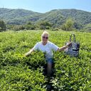 ���������� ������, ���� ������� ��������, 58 ���, ������������ ��� ����� � ���������, c�������� ���������