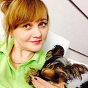 ���������� ������������, ���� ������� �����, 52 ����, ������������ ��� ������, ����� � ���������, c�������� ���������