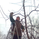 ���������� ����, ���� ������� ���������, 55 ���, ������������ ��� ������, ����� � ���������, c�������� ���������