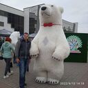 ���������� ������, ���� ������� �������, 34 ����, ������������ ��� ������, ����� � ���������, c�������� ���������