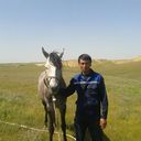 ���������� �����, ���� ������� 91 215 07 70, 41 ���, ������������ ��� ������