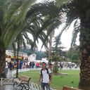  ,   998975501214, 40 ,  
