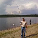  ,   , 48 ,  