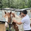 ���������� �����-���������, ���� ������� �����, 31 ���, ������������ ��� ������, ����� � ���������, c�������� ���������