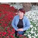  ,   , 51 ,   ,   