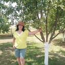 ���������� ������, ���� ������� ������, 59 ���, ������������ ��� c�������� ���������