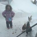 ���������� �����-�������, ���� ������� ����, 43 ����, ������������ ��� ������, ���������