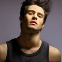 ���������� ���������, ���� ������� Shah, 31 ���, ������������ ��� ������, ����� � ���������, c�������� ���������