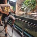 ���������� ����������, ���� ������� ���������, 43 ����, ������������ ��� ������, ����� � ���������