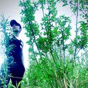 ���������� �����������, ���� ����� ����, 22 ����, ������������ ��� ����� � ���������