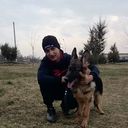 ���������� �������, ���� ������� Ardasher, 28 ���, ������������ ��� ������, ����� � ���������, c�������� ���������