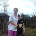 ���������� ����, ���� ������� ������, 41 ���, ������������ ��� ������, ����� � ���������