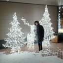 ���������� �����-���������, ���� ������� ����, 55 ���, ������������ ��� c�������� ���������