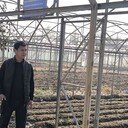  ,   Sherbek, 39 ,   ,   